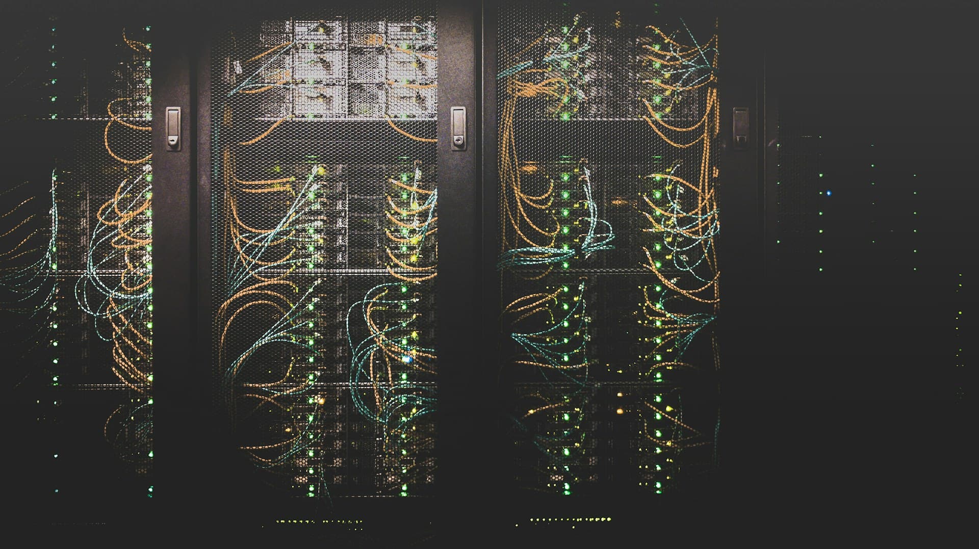 Domain & Web Hosting